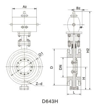 Pneumatic flange hard seal butterfly valve D643H