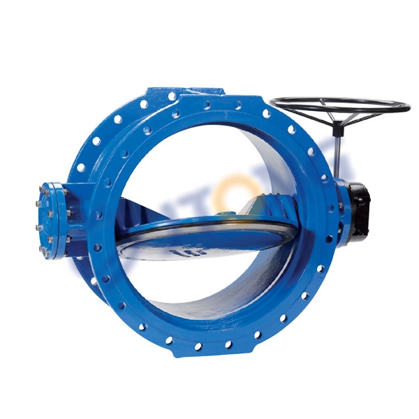 Double Offset Butterfly Valve